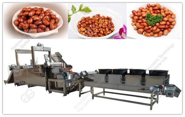 Continuous Peanut Frying Line