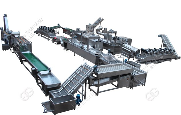 Frozen French Fries Manufacturi