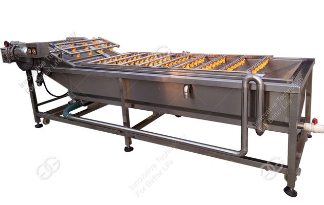 Bubble Type Vegetable Washing Machine GG-40