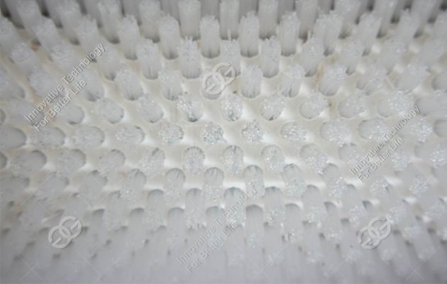 Brush Roller