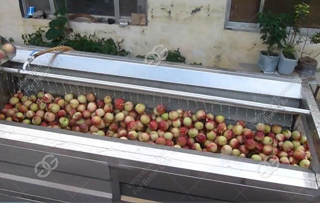 Nectarine Washing Machine